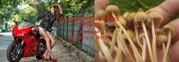 крисы Осинники