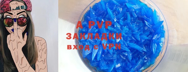 крисы Осинники