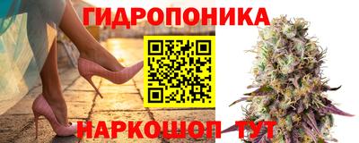 скорость Будённовск
