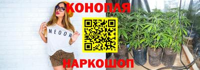 скорость Будённовск