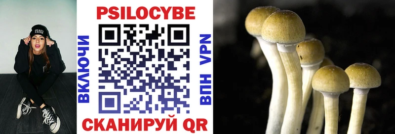 Псилоцибиновые грибы Psilocybine cubensis  Ейск 