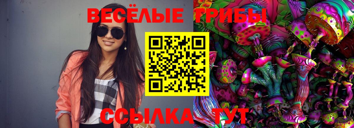 Галлюциногенные грибы GOLDEN TEACHER Ейск