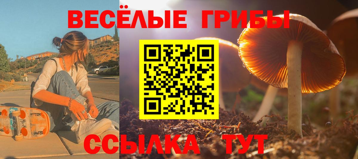 Псилоцибиновые грибы ЛСД  Псилоцибиновые грибы GOLDEN TEACHER  Ейск 